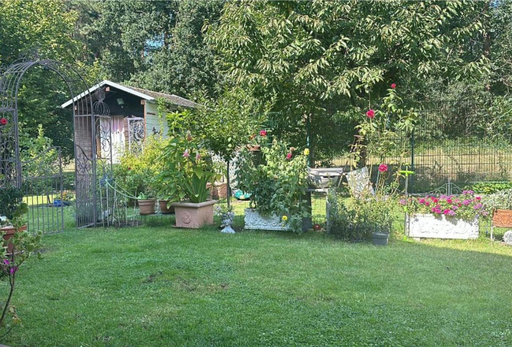 Grosse Helle Wohnung Am Wald In Bad Saarow Nahe Gruenheide Und Berlin Souterrain Buitenkant foto